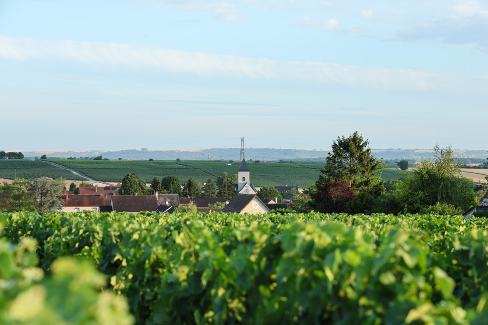 Commune de Les Mesneux (51370) | Village de Champagne