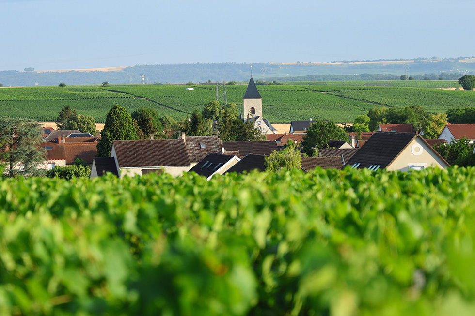 Commune de Les Mesneux