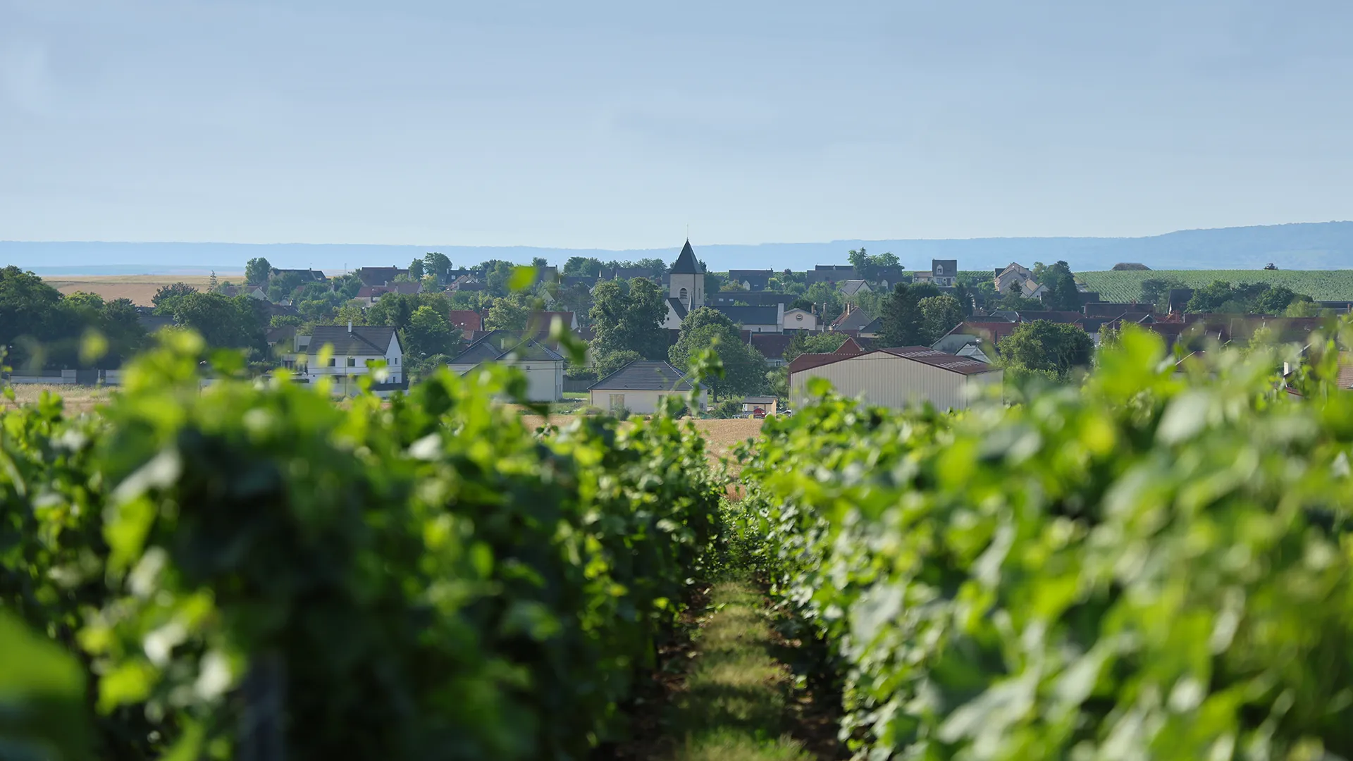 Commune des Mesneux (51370) - Village de Champagne - Mairie des Mesneux
